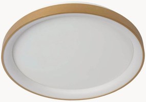 Candeeiro de teto LED regulável Vidal