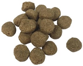 Ração premium para cães Adult Essence Beef 15 kg