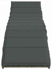 Espreguiçadeiras com almofadões 2 pcs vime PE cinzento