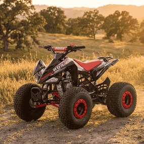 MINI MOTO 4 GASOLINA PARA CRIANÇAS 110cc PANTERA R8 automático com marcha atrás Vermelha