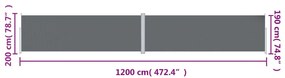 Toldo lateral retrátil 200x1200 cm antracite