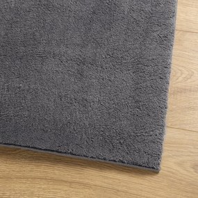 Tapete pelo curto macio e lavável HUARTE 80x200 cm antracite