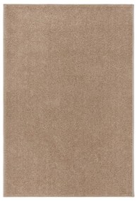 340357 vidaXL Tapete de pelo curto 160x230 cm castanho