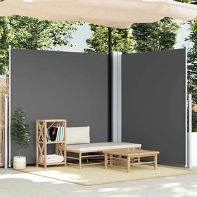 Toldo lateral retrátil 220x600 cm antracite