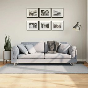 vidaXL Tapete pelo curto macio e lavável HUARTE 100x200 cm cinzento