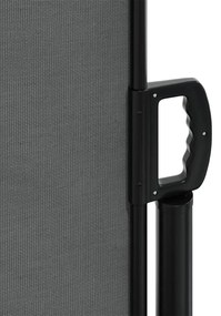 Toldo lateral retrátil 180x1200 cm antracite