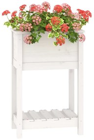 Vaso/floreira com prateleira 54x34,5x81 cm pinho maciço branco