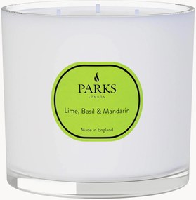 Vela perfumada artesanal com três pavios Vintage Aromatherapy (lima, manjericão e tangerina)