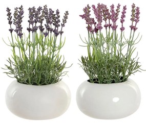 Planta Decorativa DKD Home Decor Lavanda Cor de Rosa Polietileno Dolomite Lilás (17 x 17 x 27 cm) (2 pcs)