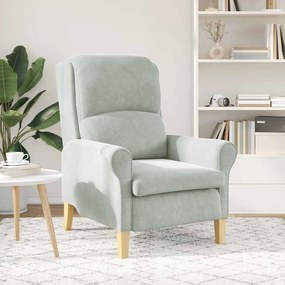 Poltrona Cinza Claro Cinzento-claro Standard