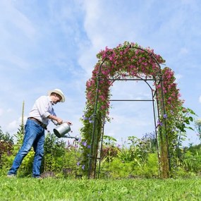 Arco de jardim com treliça para plantas trepadeiras Estrutura metálica revestida a PE para videiras, flores e legumes 181 x 110-160 x 230 cm Preto e V