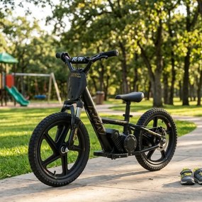 Bicicleta elétrica infantil 250W 16” 250W 16" Plus RFN preta e dourada