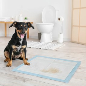 PawHut Resguardos de Treino Animais de Estimação 80 Unidades 45x60 cm