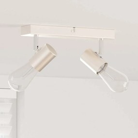 vidaXL Spotlight de Teto Ajustável em Duas Direções Níquel Escovado E27