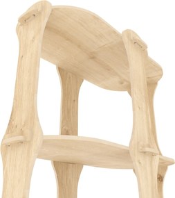 Estante Ayzi – Carvalho – 57,6x137,5x27 cm