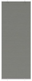 vidaXL Antracite Plissada Cega 80x200 cm Largura Tecido 79,4 cm