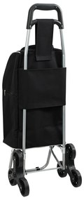 Carrinho de Compras vidaXL com Escada Preto 38 L