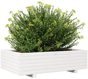 Vaso/floreira de jardim 90x60x26,5 cm pinho maciço branco