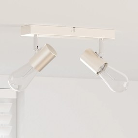 vidaXL Spotlight de Teto Ajustável em Duas Direções Níquel Escovado E27