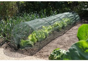 Nature Conjunto túnel de estufa para jardim 6030204