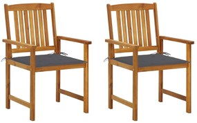vidaXL Cadeiras de jardim com almofadões 2 pcs acácia maciça