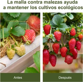 Malha Geotêxtil 1x50 m Malha de Jardim Contra Ervas Daninhas 100 g / m