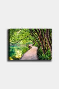 Quadro Decorativo em Tela 668048803 – Multicolor – 50 x 70 cm
