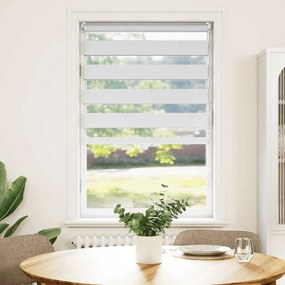 Estore de rolo 50 x 100 cm, linhas de zebra / Branco