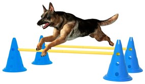 Conjunto de obstáculos para atividades caninas azul e amarelo