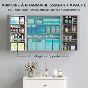 Armário de Medicamentos de Parede, 53 x 20 x 53 cm, Com Fechadura, Cinzento