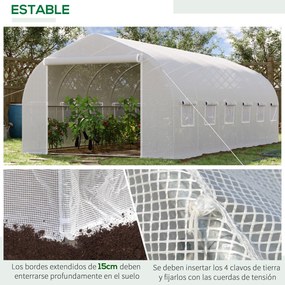 Estufa Tipo Túnel 595x300x200cm Estufa de Jardim Grande com 12 Janelas