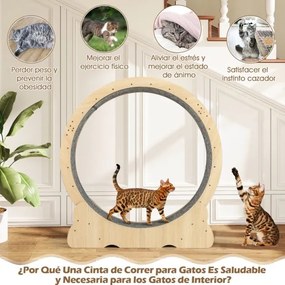 Roda de exercício grande 101 cm para gatos de interior com mecanismo bloqueável, pista almofadada e Estrutura de madeira para uma saúde natural,