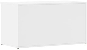 Arca arrumação 84x42x46 cm madeira processada branco brilhante