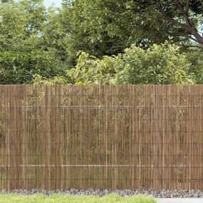 vidaXL Vedação de jardim 500x80 cm cana