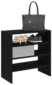 Sapateiras 2 pcs empilháveis 60x30x30,5 cm carvalho preto