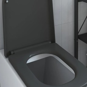 Assento de Vaso Sanitário de Liberação Rápida com Fechamento Suave Duroplast Antracite
