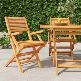 Cadeiras de jardim dobráveis 2 pcs 55x62x90 cm teca maciça
