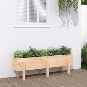 vidaXL Canteiro elevado de jardim 121x30x38 cm madeira de pinho maciça