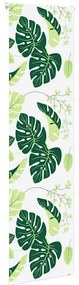 Rolo de Duche Estores 70x240 cm Largura Tecido 66 cm