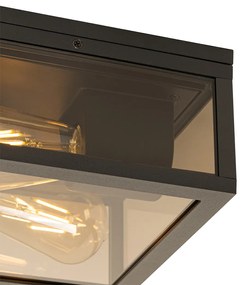 Luminária de teto preta com vidro fumê 2 luzes IP44 - Charlois Moderno