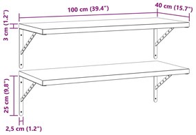 Prateleiras de parede 2 pcs 100x40 cm aço inoxidável prateado