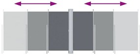 Toldo lateral retrátil 220x600 cm antracite