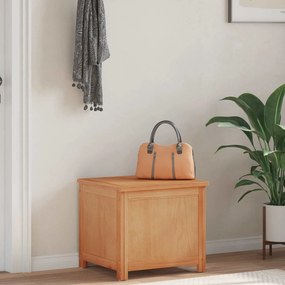 vidaXL Caixa de Armazenamento Liso