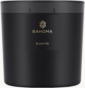 Vela perfumada Black Fig (figo, sementes de anis, folhas verdes)