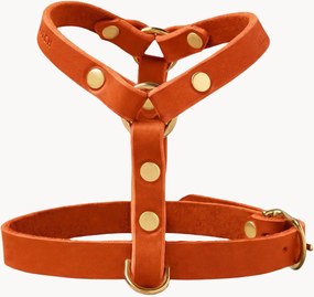 Peitoral para cão em pele Y-Harness, vários tamanhos