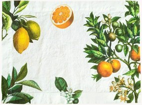 Individuais de mesa em linho Citruses, conjunto de 2