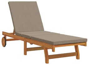 Camas de sol com rodas da vidaXL, 2 peças, incluindo mesa e almofada e