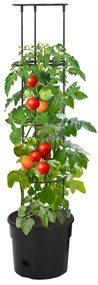 Vaso p/ cultivo de tomate Ø29,5x115 cm polipropileno antracite