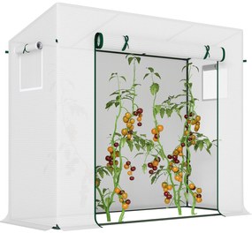 Estufa de Jardim Pequena Estufa de Exterior com Janelas e Estrutura de