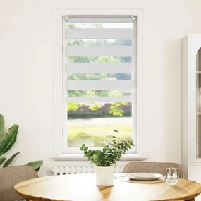 Estore de rolo 60 x 120 cm, linhas de zebra / Branco